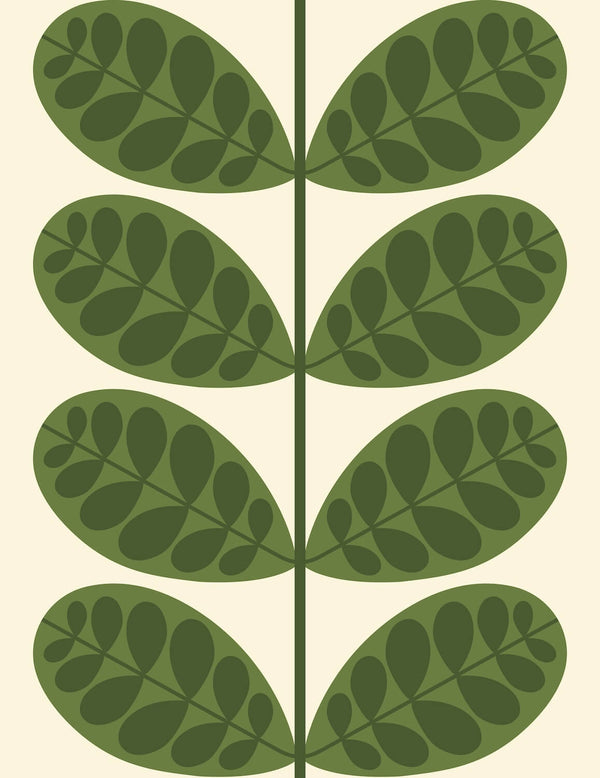 Botanica Wallpaper in Green Artwork by Orla Kiely