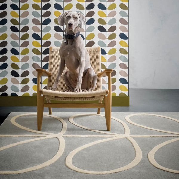 Grey dog sitting on a Grey Linear Stem Rug by Orla Kiely